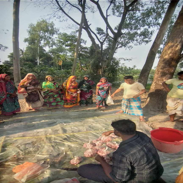 kurbani in Bangladesh